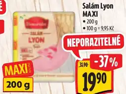 Albert Salám Lyon MAXI nabídka
