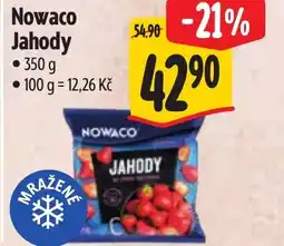 Albert Nowaco Jahody nabídka