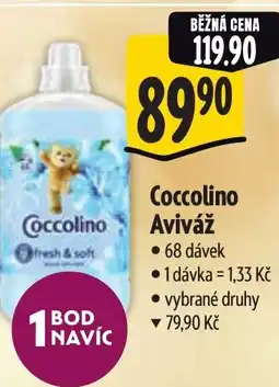 Albert Coccolino Aviváž nabídka