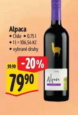 Albert Alpaca nabídka