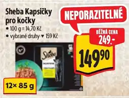 Albert Sheba Kapsičky pro kočky nabídka