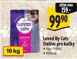 Albert Loved By Cats Stelivo pro kočky nabídka