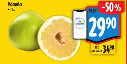 Albert Pomelo nabídka
