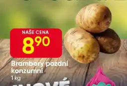 Hruška BRAMBORY POZDNÍ KONZUMNÍ nabídka