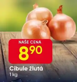 Hruška Cibule žlutá nabídka