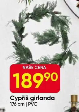 Hruška Cypřiš girlanda nabídka
