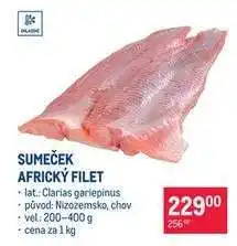 Makro Sumeček africký filet nabídka