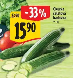 Albert Okurka salátová hadovka nabídka