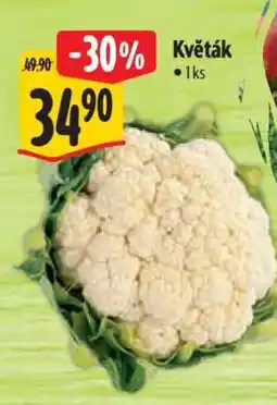 Albert Květák nabídka