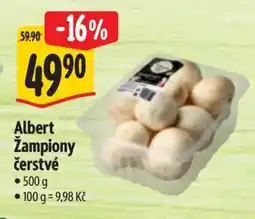 Albert Albert Žampiony čerstvé nabídka