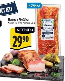Albert Slanina z Přeštíka nabídka