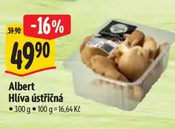 Albert Albert Hlíva ústřičná nabídka