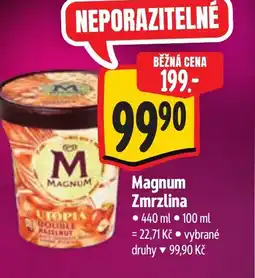 Albert Magnum Zmrzlina nabídka