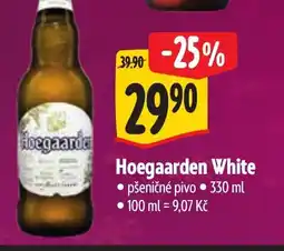 Albert Hoegaarden White nabídka