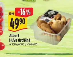 Albert Hlíva ústřičná nabídka