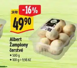 Albert Žampiony čerstvé nabídka