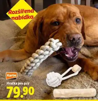 Lidl Karlie Hračka pro psy nabídka