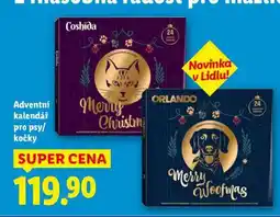 Lidl Adventní kalendář pro psy/kočky nabídka