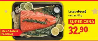 LOSOS OBECNÝ