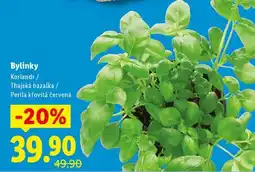 Lidl BYLINKY nabídka