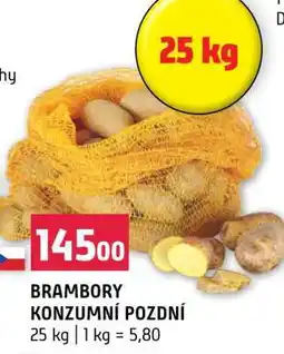 Terno Brambory konzumní pozdní nabídka