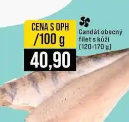 Jip Candát obecný filet s kůží 120-170 g 100g nabídka