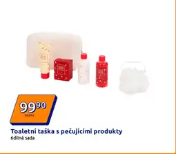 Action Toaletní taška s pečujícími produkty nabídka