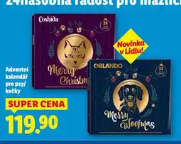 Lidl Adventní kalendář pro kočky nabídka