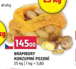Terno BRAMBORY KONZUMNÍ POZDNÍ 25 kg nabídka
