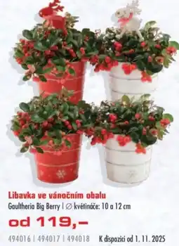 Uni Hobby Libavka ve vánočním obalu nabídka