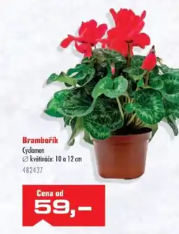 Uni Hobby Brambořík nabídka