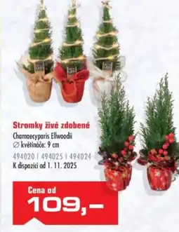 Uni Hobby Stromky živé zdobené nabídka