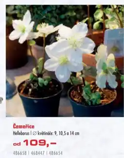 Uni Hobby Čemeřice nabídka