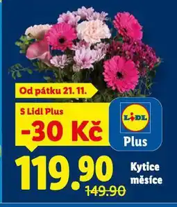 Lidl Kytice měsíce nabídka