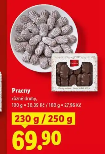 Lidl Pracny nabídka