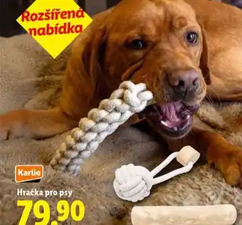 Lidl Hračka pro psy nabídka