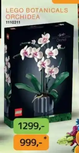 Dráčik LEGO Botanicals orchidea nabídka