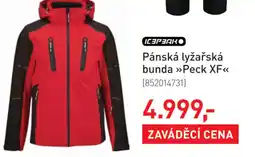 Intersport Pánská lyžařská bunda >>Peck XF<< nabídka