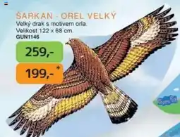 Dráčik Šarkan - orel velký nabídka