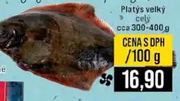 Jip PLATÝS VELKÝ nabídka