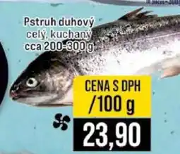 Jip Pstruh duhový nabídka