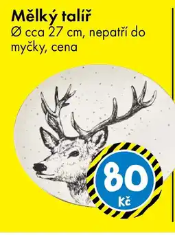 TEDi Mělký talíř nabídka