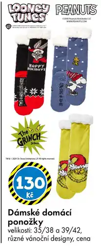 TEDi Dámské domácí ponožky nabídka