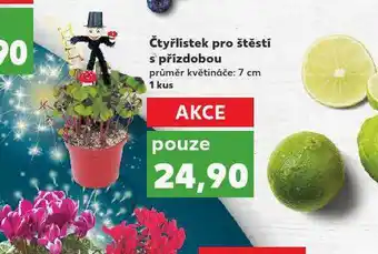 Čtyřlístek pro štěstí s přízdobou
