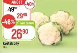 Globus Květák bílý nabídka