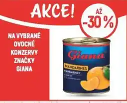 Globus NA VYBRANÉ OVOCNÉ KONZERVY ZNAČKY GIANA nabídka