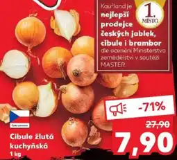 Kaufland Cibule žlutá kuchyňská nabídka