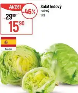 Globus Salát ledový nabídka