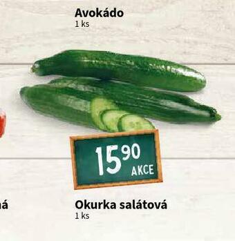 Terno Okurka salátová nabídka