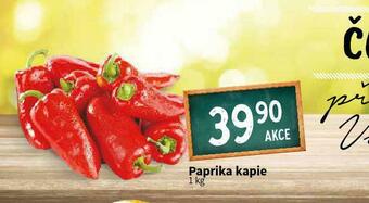 Terno Paprika kapie nabídka